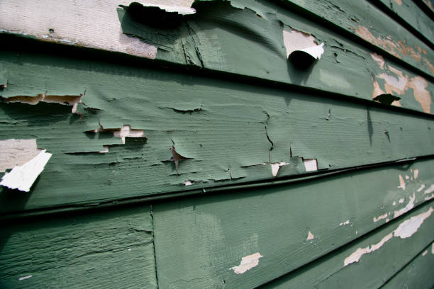 Affordable Siding Repair and Maintenance Services in Junction, TX